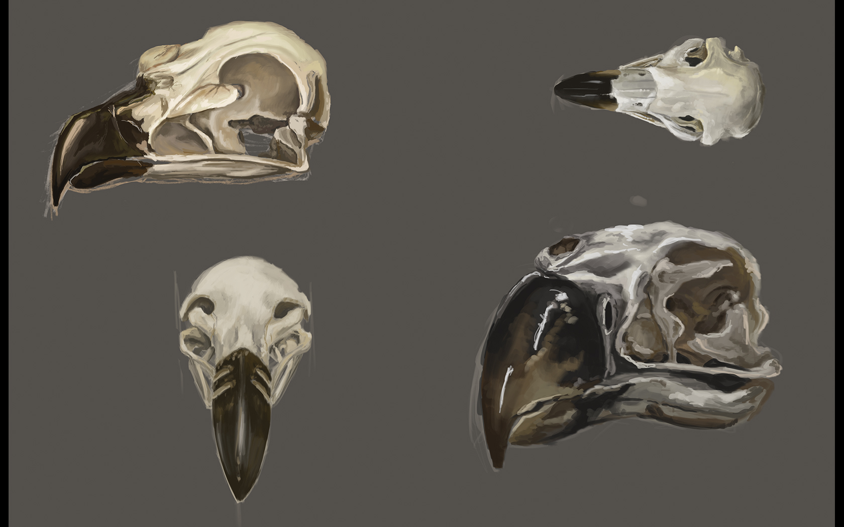 Vultures' Skulls